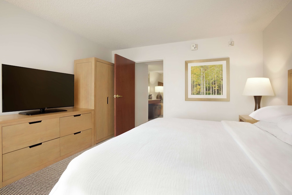 Embassy Suites by Hilton Denver International Airport - photo 15