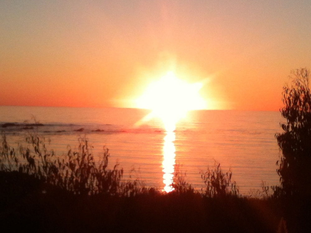 North Cliff Hotel - photo 25