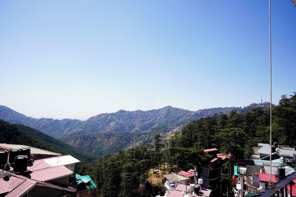 Hotel Himalayan Roots — Shimla — photo 2