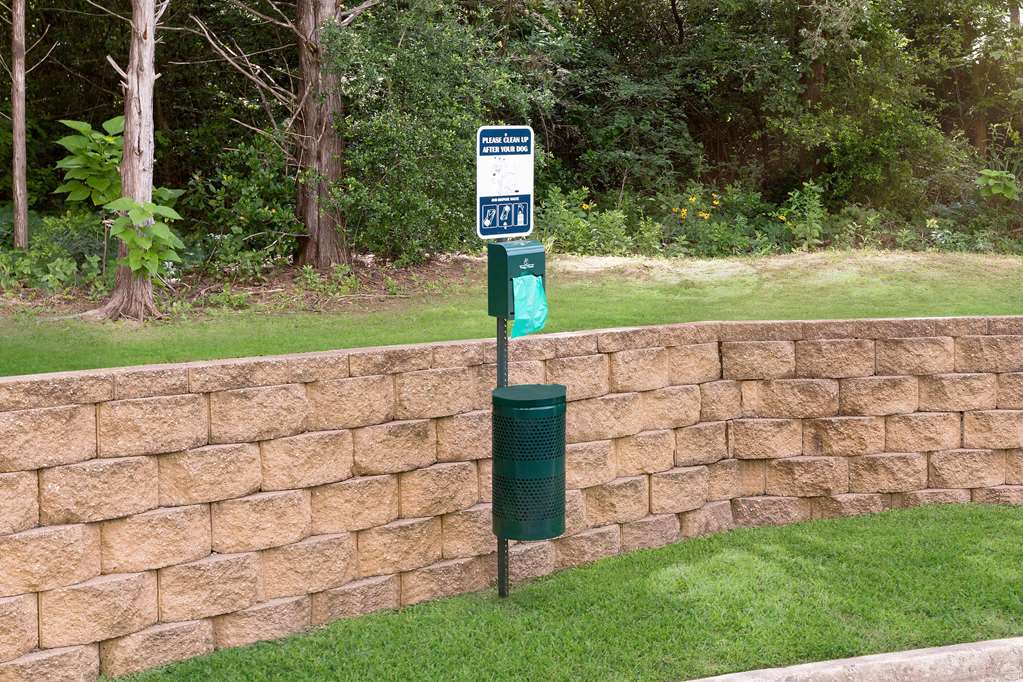 Woodspring Suites Tyler - photo 5