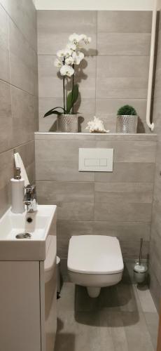 Hanna Apartman — Buk — photo 5