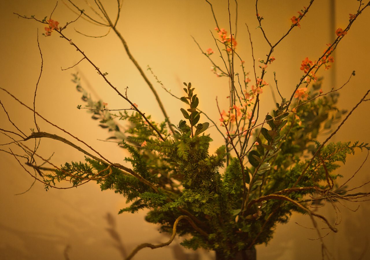 Beniya — Awara — photo 4