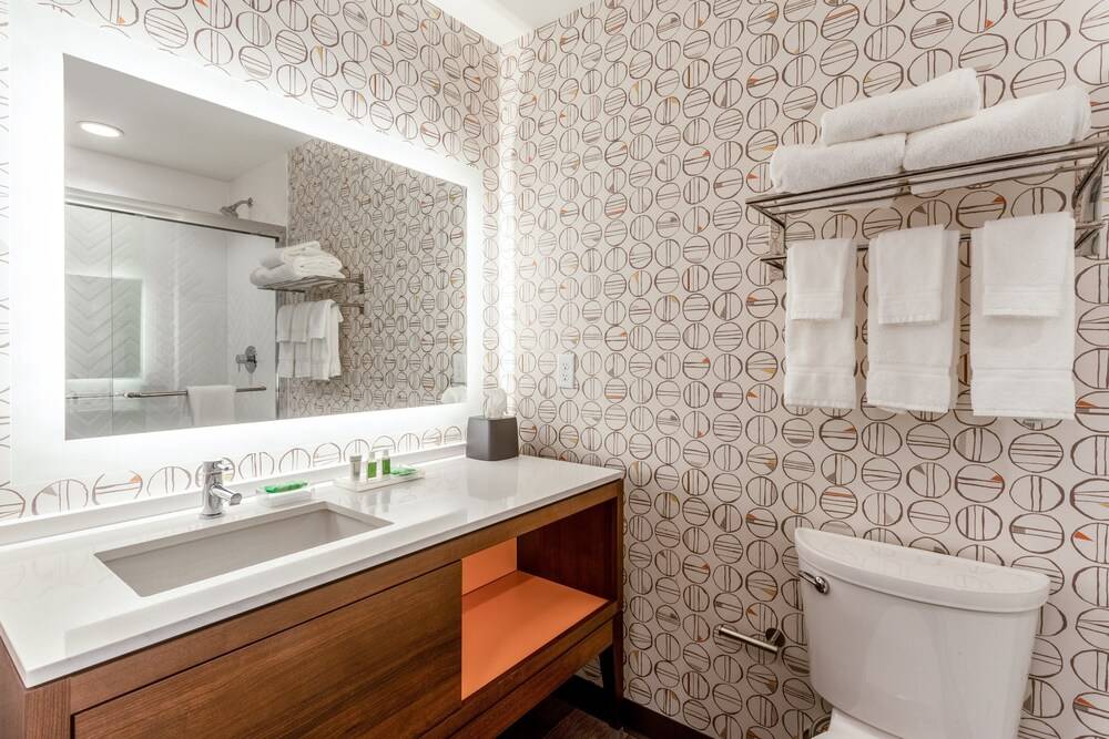 Holiday Inn & Suites Cedar Falls Waterloo Event Ctr by IHG - photo 19