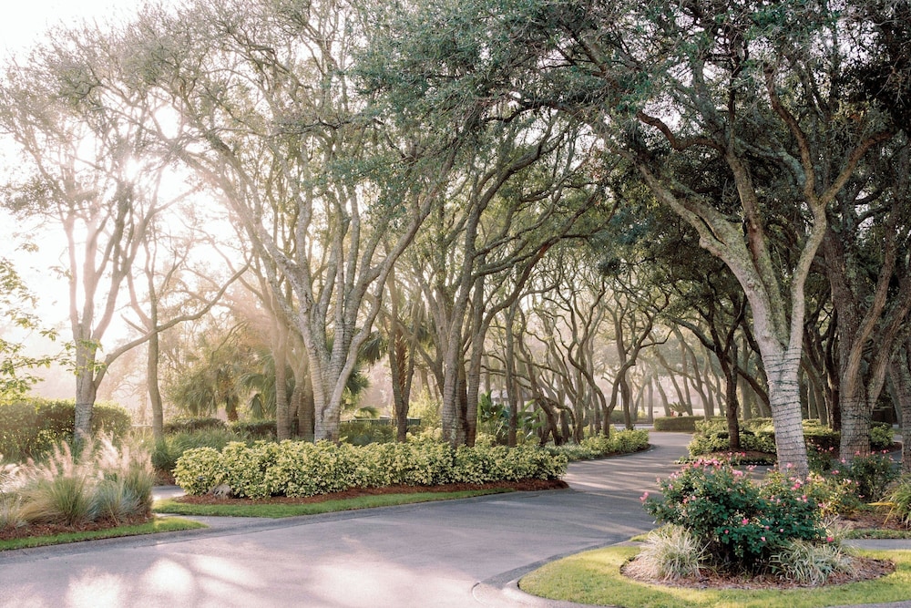 The Ritz Carlton Amelia Island - photo 103