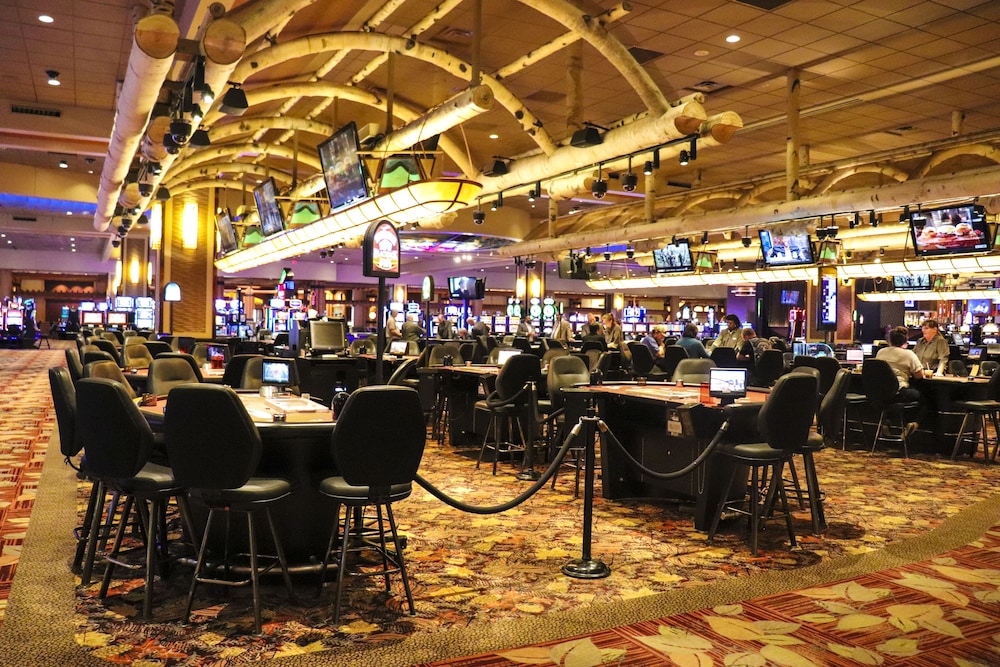 Four Winds Casino Resort New Buffalo - photo 34