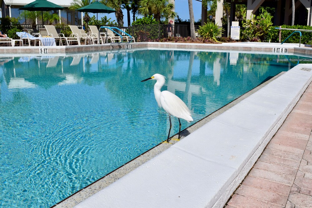 Caribbean Beach Club by Capital Vacations - photo 54