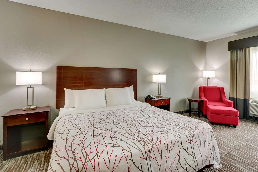 Best Western Plus University Inn & Suites - photo 18