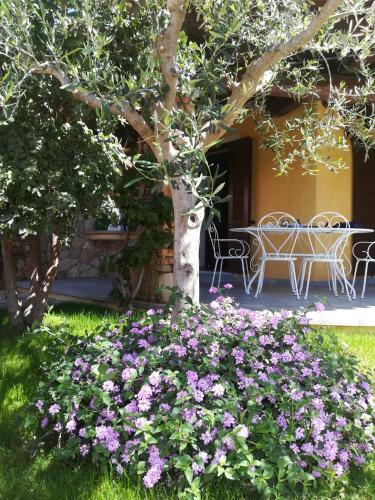 Villino del Pepe Rosa — Villasimius — photo 3