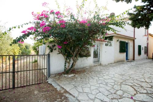 Villino Fraginesi in Castellammare Del Golfo, Italy