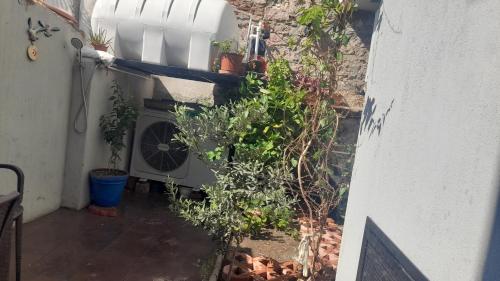 Aj Konukevi Müstakil Ev Dört Odalı — Ayvalik — photo 5