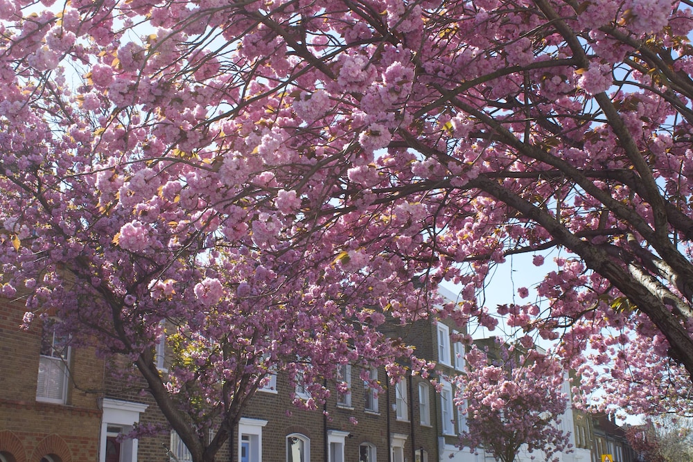 Kensington Olympia Apartments — 4-Star Luxury Hotel in London, United Kingdom