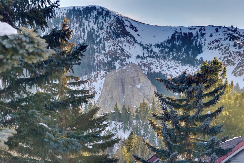 Snowcreek Resort Condo with Deck at Mammoth Mountain - photo 25