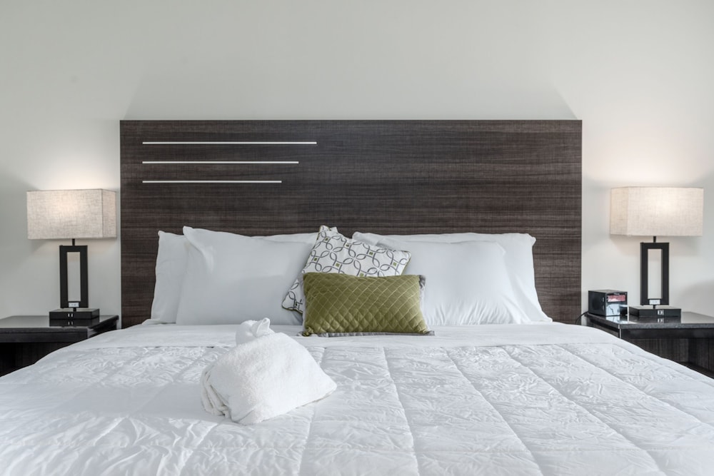 Crewe Boutique Inn - photo 8