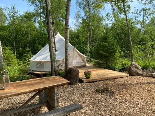 Off grid forest glamping - carbon neutral hotel in Unknown City