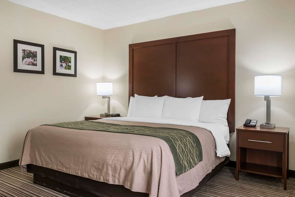 Comfort Inn Pocono Mountains - photo 16