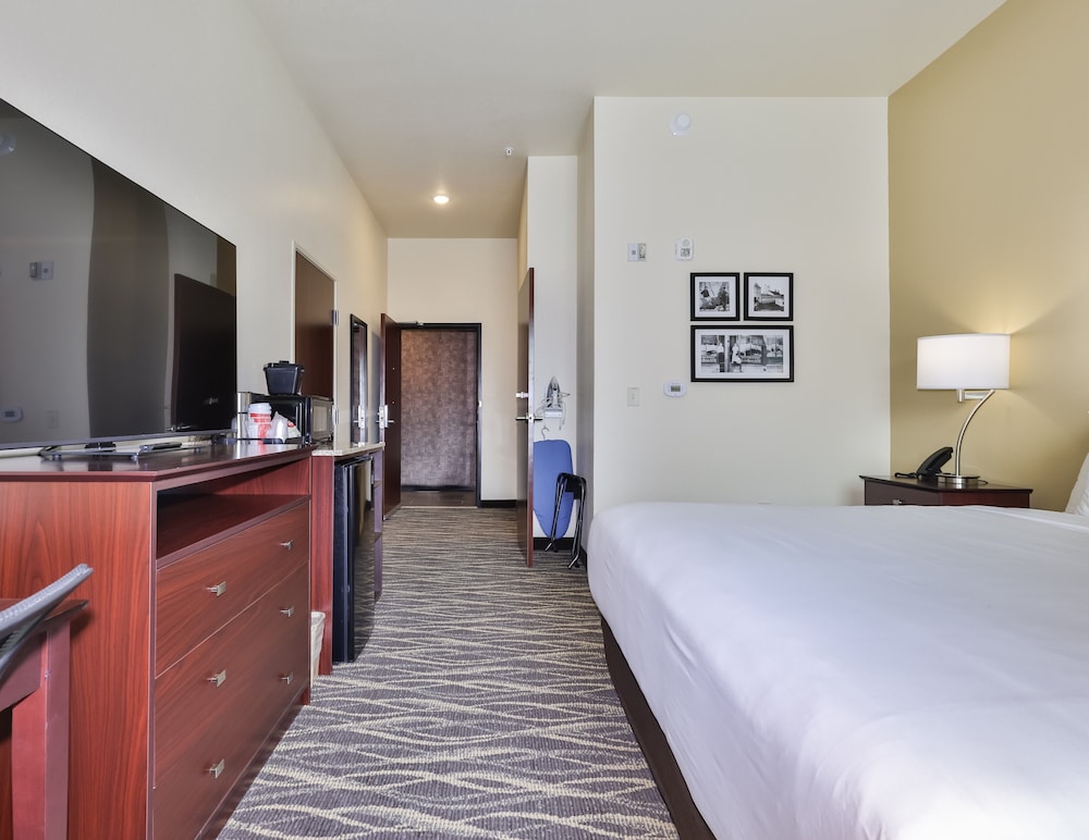 Cobblestone Hotel & Suites Rhinelander - photo 29