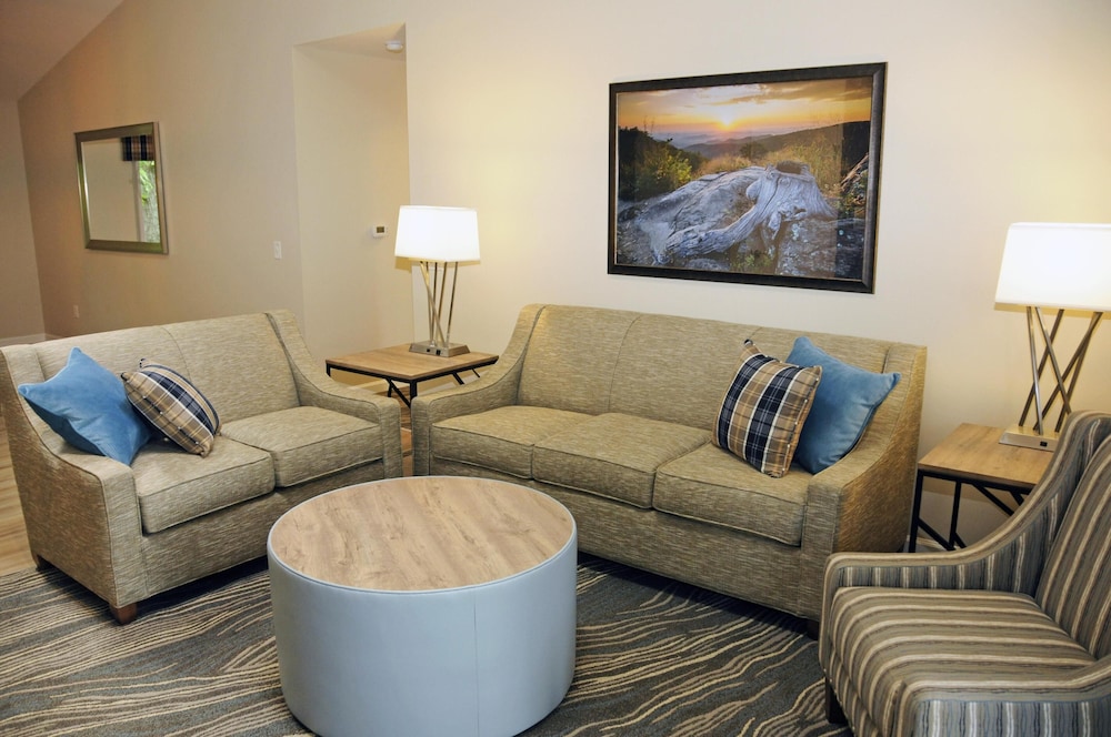 The Summit at Massanutten Resort by TripForth - photo 15