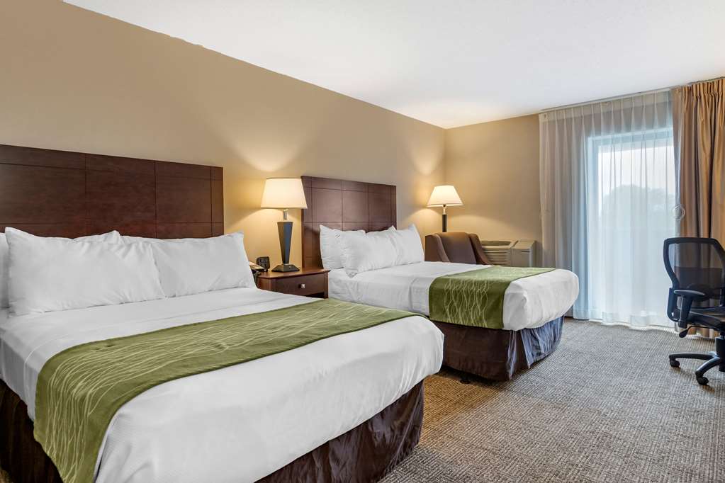 Comfort Inn Lansing West - photo 17