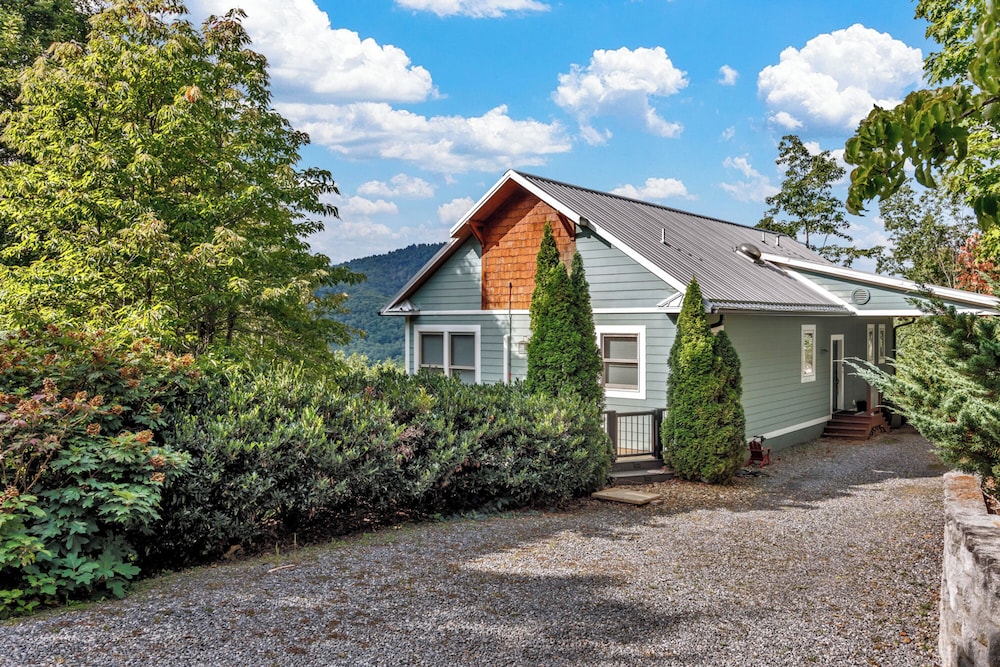 Wandering Bear in Black Mountain, United States