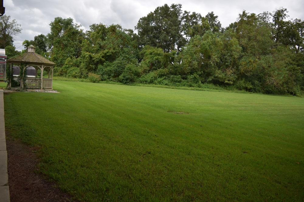 Oak Tree Inn Livonia West - photo 13
