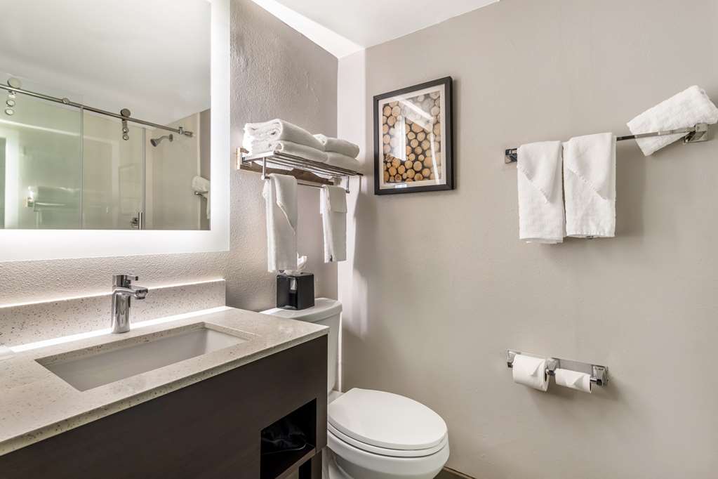 Best Western Atlanta Marietta Ballpark Hotel - photo 21