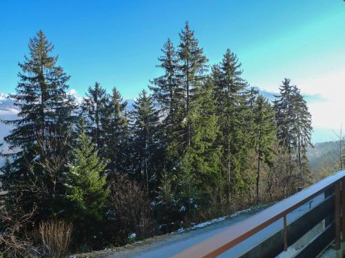 Yuca B Inh 26799 in Montana, Switzerland