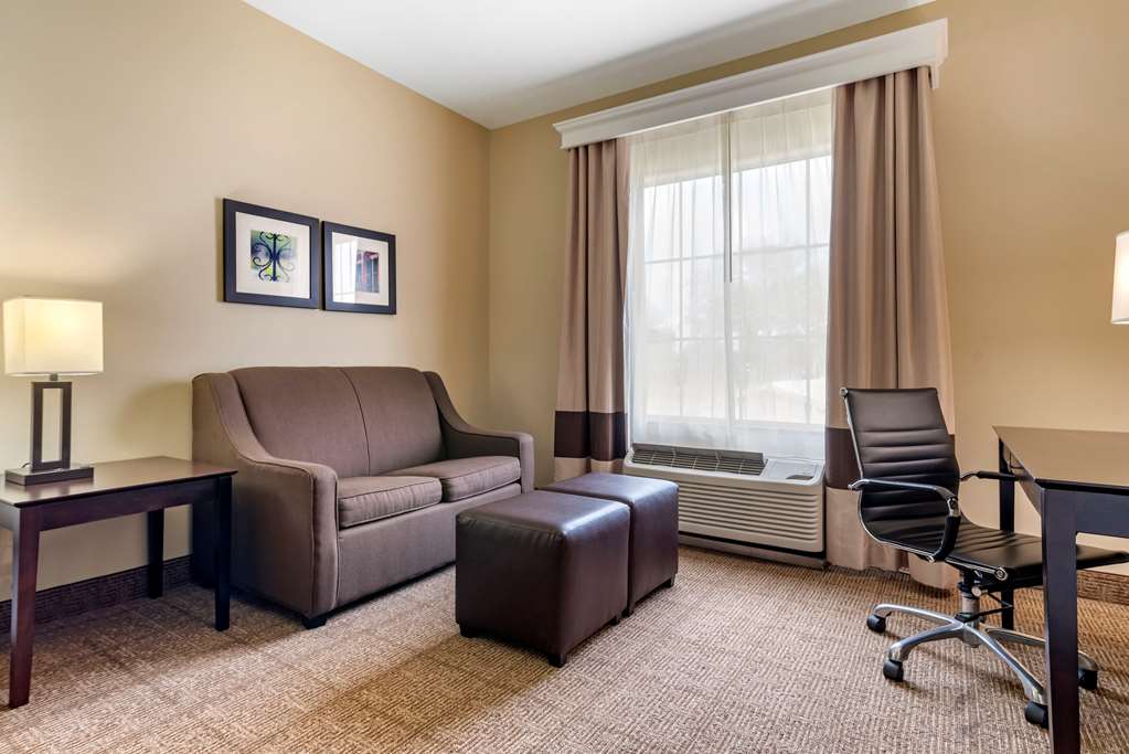 Comfort Inn & Suites Scott West Lafayette - photo 12