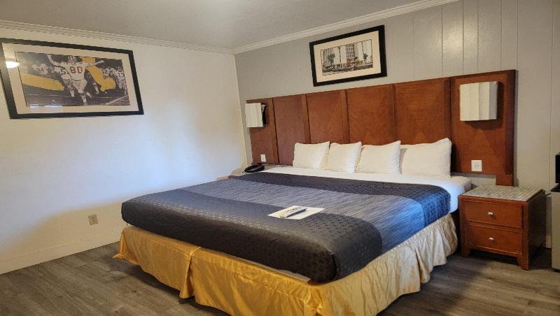 Mountain Star Inn - photo 90