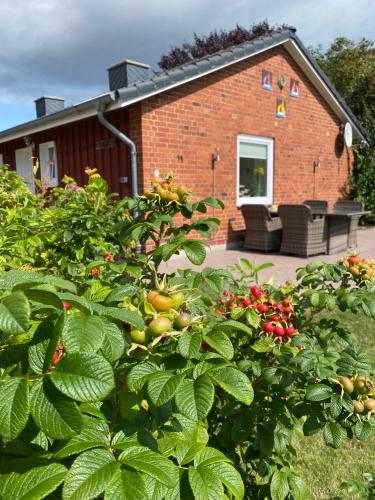 Ferienhaus Lillehus — Fehmarn — photo 2