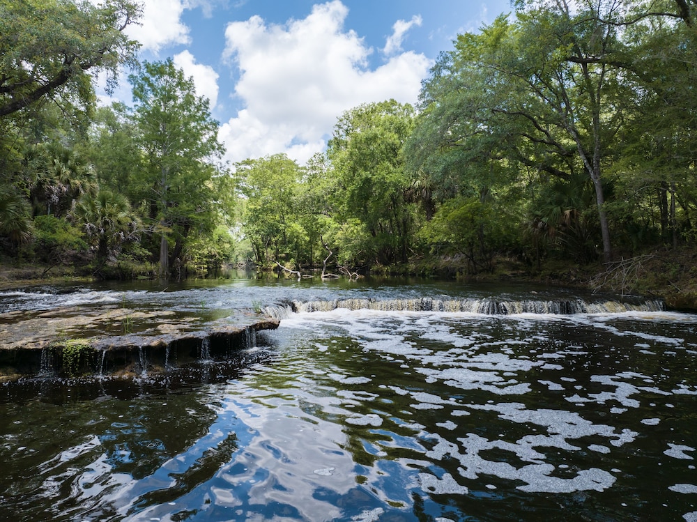 Steinhatchee River Inn - photo 67