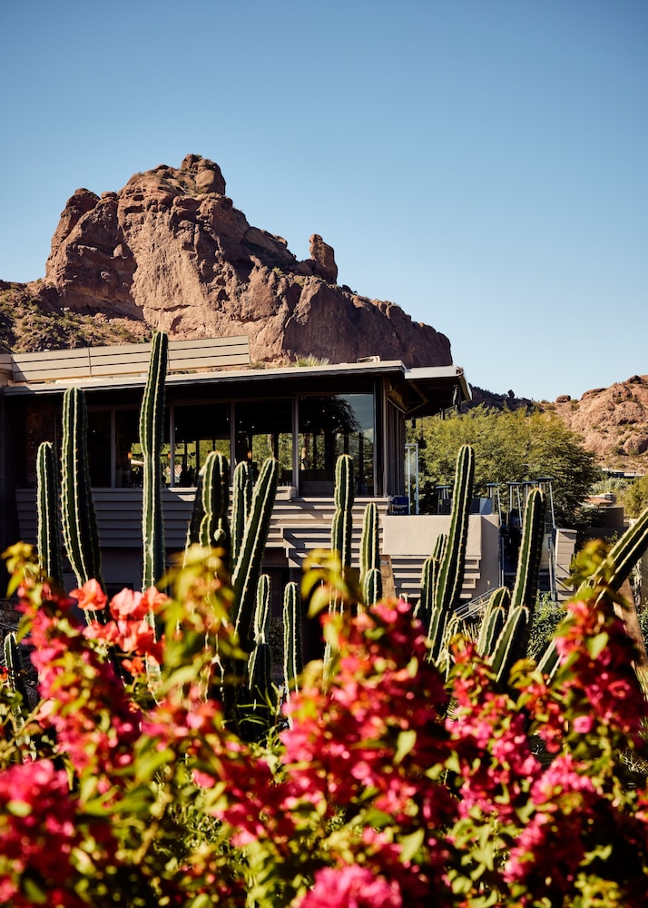 Sanctuary Camelback Mountain Resort and Spa - photo 120