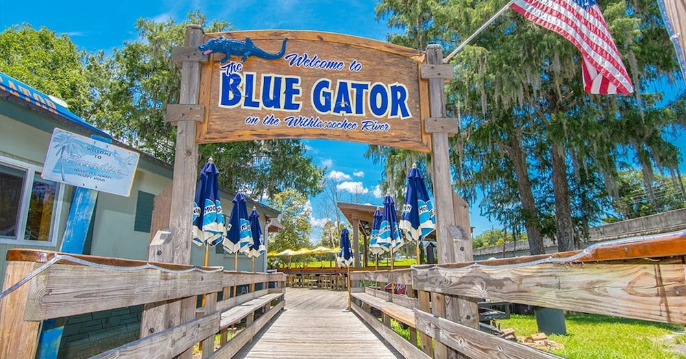 The Gator Den Motel - photo 14