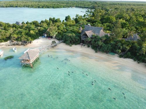 Fish Eagle Point in Tanga, Tanzania