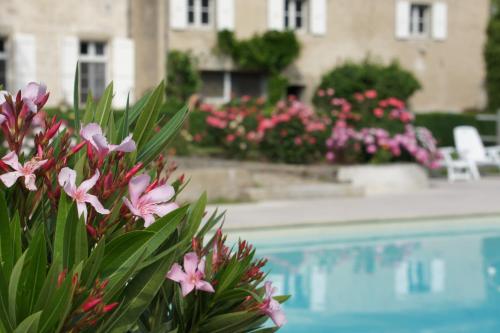 La Lauze — Castres — photo 2