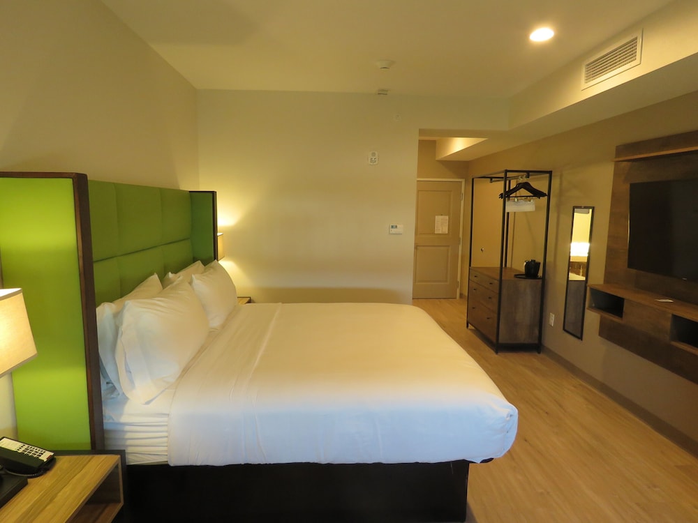 Wyndham Garden College Station - photo 9