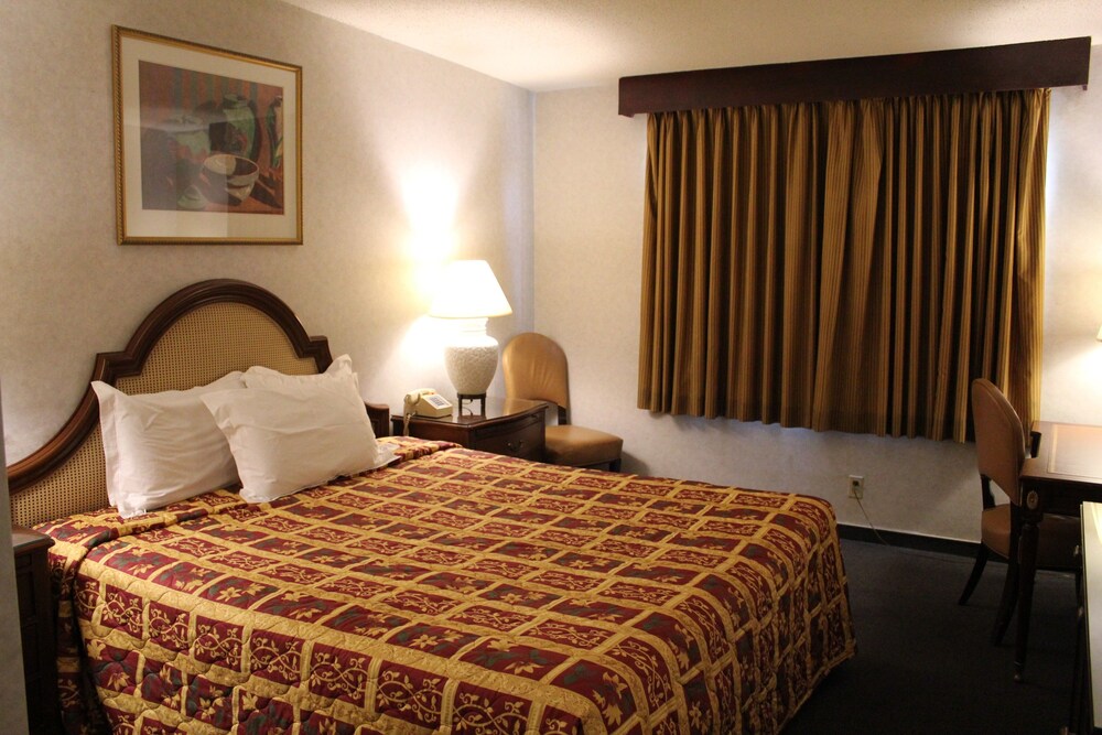 Grand Inn - photo 9