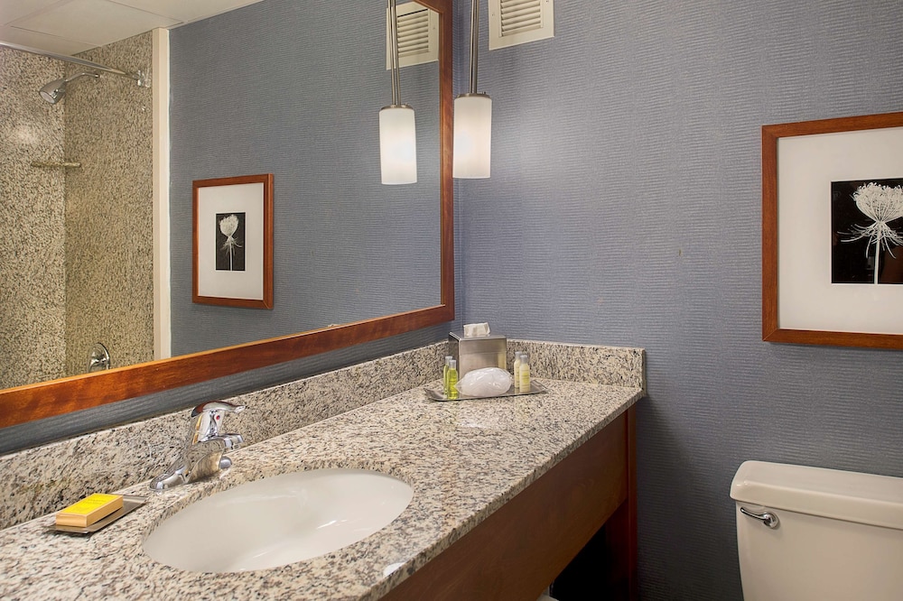 DoubleTree by Hilton St. Louis Westport - photo 39