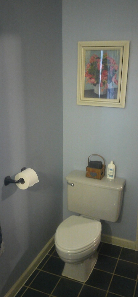 Lil Black Bear Inn - photo 91