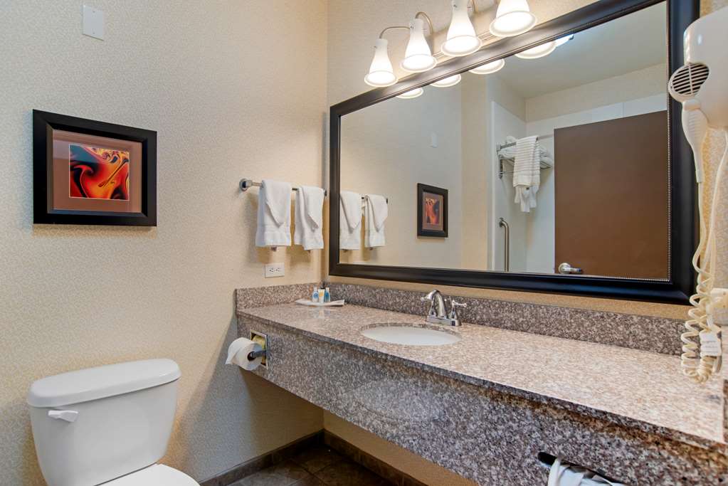 Comfort Suites Alexandria North - photo 23