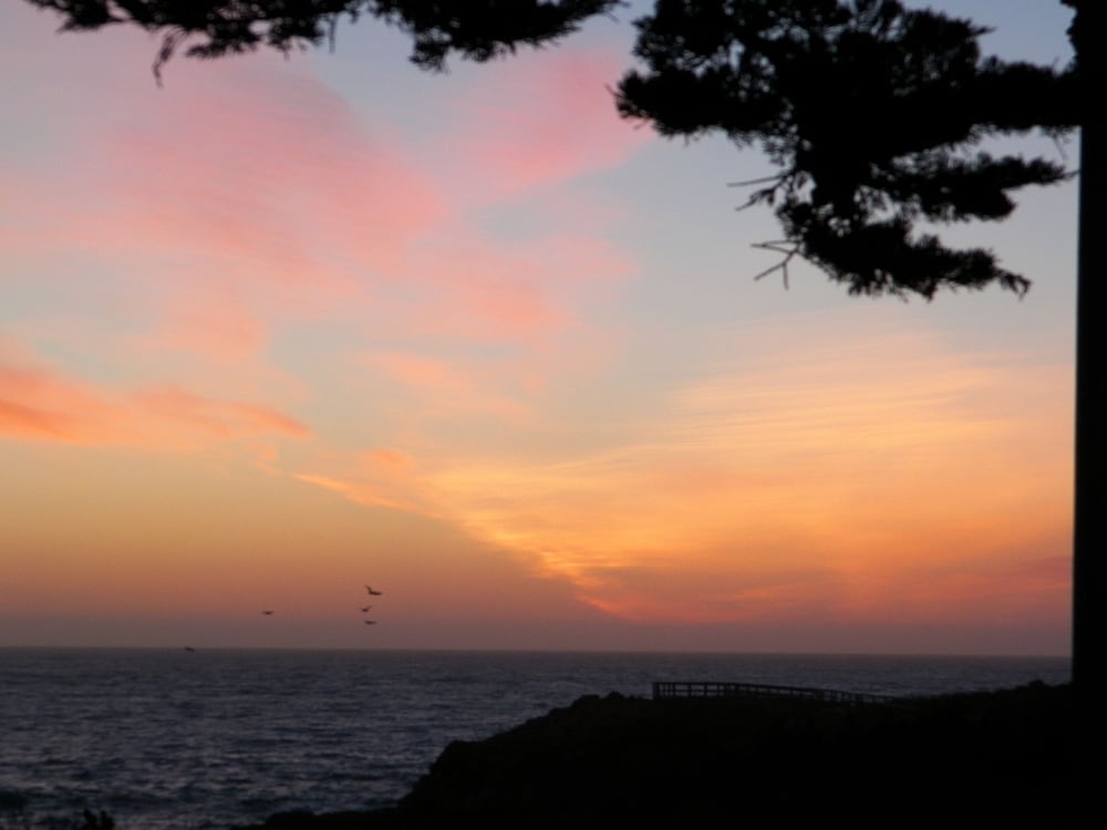 Sea Otter Inn - photo 52