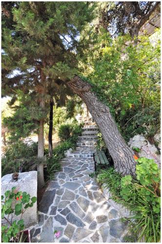 Poros Pine View — Poros — photo 4