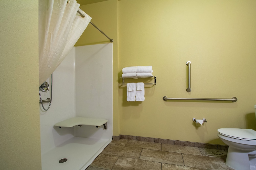 Cobblestone Hotel & Suites Orrville - photo 32