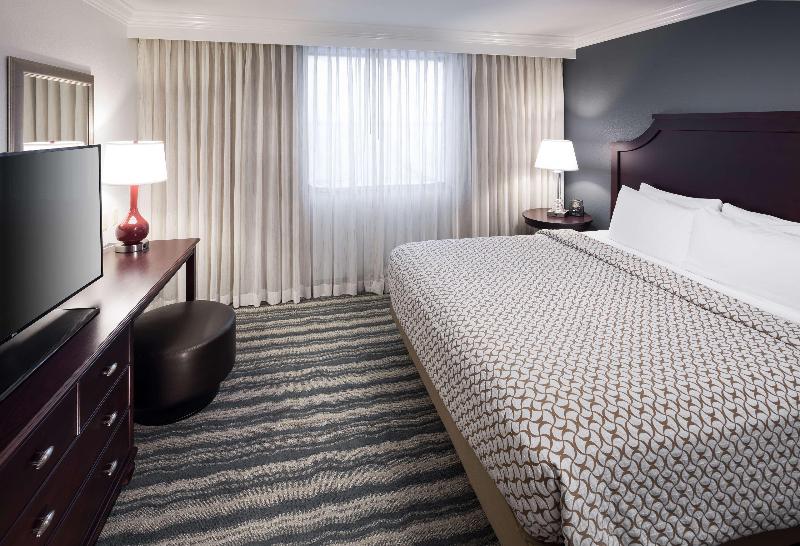 Embassy Suites by Hilton Tampa Brandon - photo 56