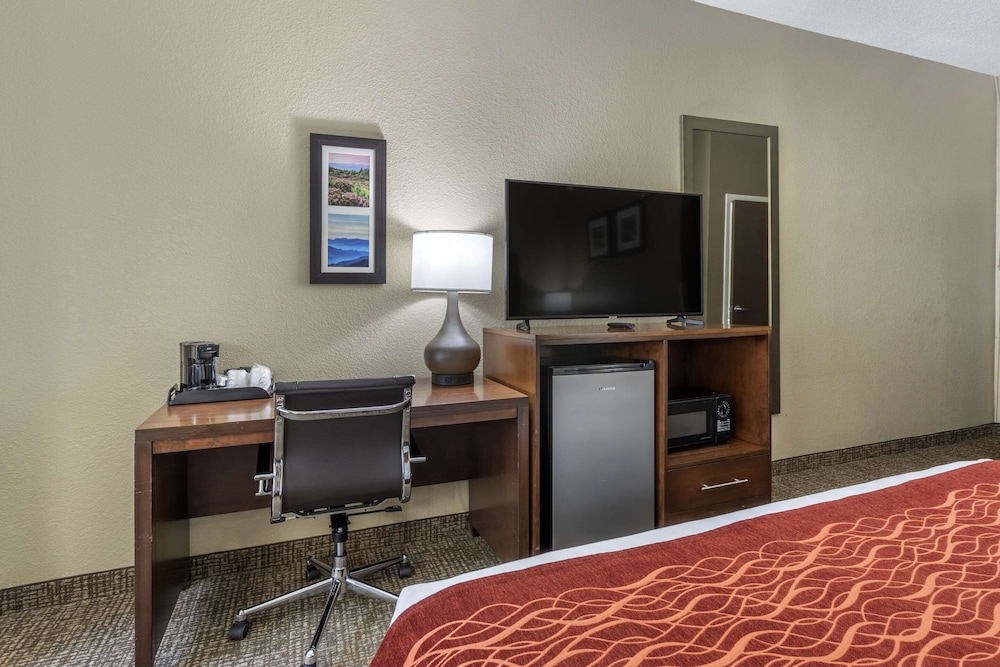 Comfort Inn Kingsport Southeast - photo 7