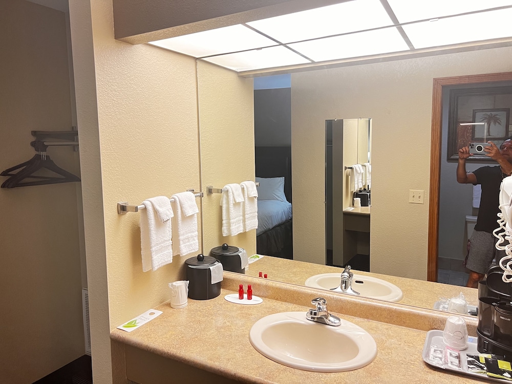 Apple Tree Inn and Suites - photo 10