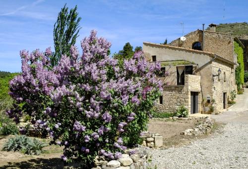 Ca L'olier — hotel in Vallbona De Les Monges