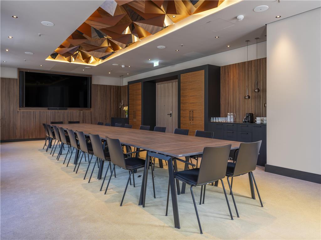 ICONS EHBB Conference MeetingRoom