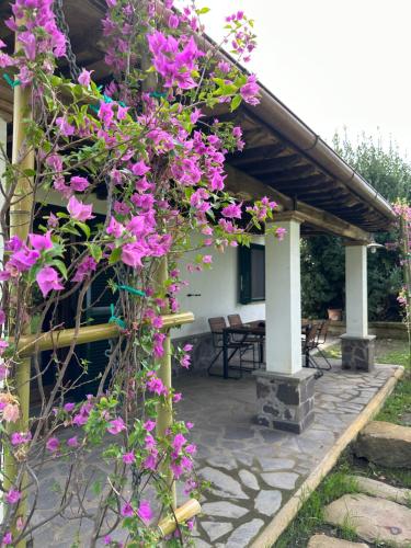 Agriturismo Iride — 4-Star Luxury Hotel in Bolsena, Italy