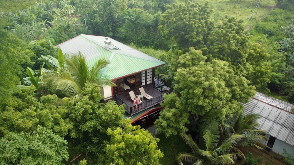 Jungle Paradise - last minute hotel in Unknown City