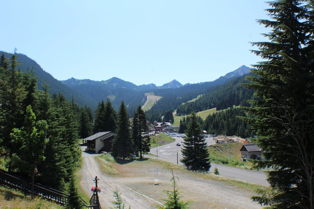 Crystal Chalets Condominiums at Crystal Mountain Ski Resort - photo 180